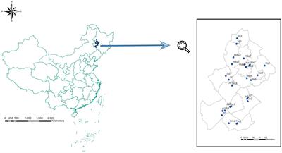 Exploring Soil Factors Determining Composition and Structure of the Bacterial Communities in Saline-Alkali Soils of Songnen Plain